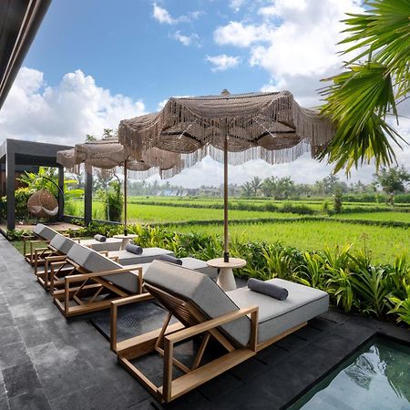 Villa Black Pearl By Balisuperhost Ubud Zewnętrze zdjęcie