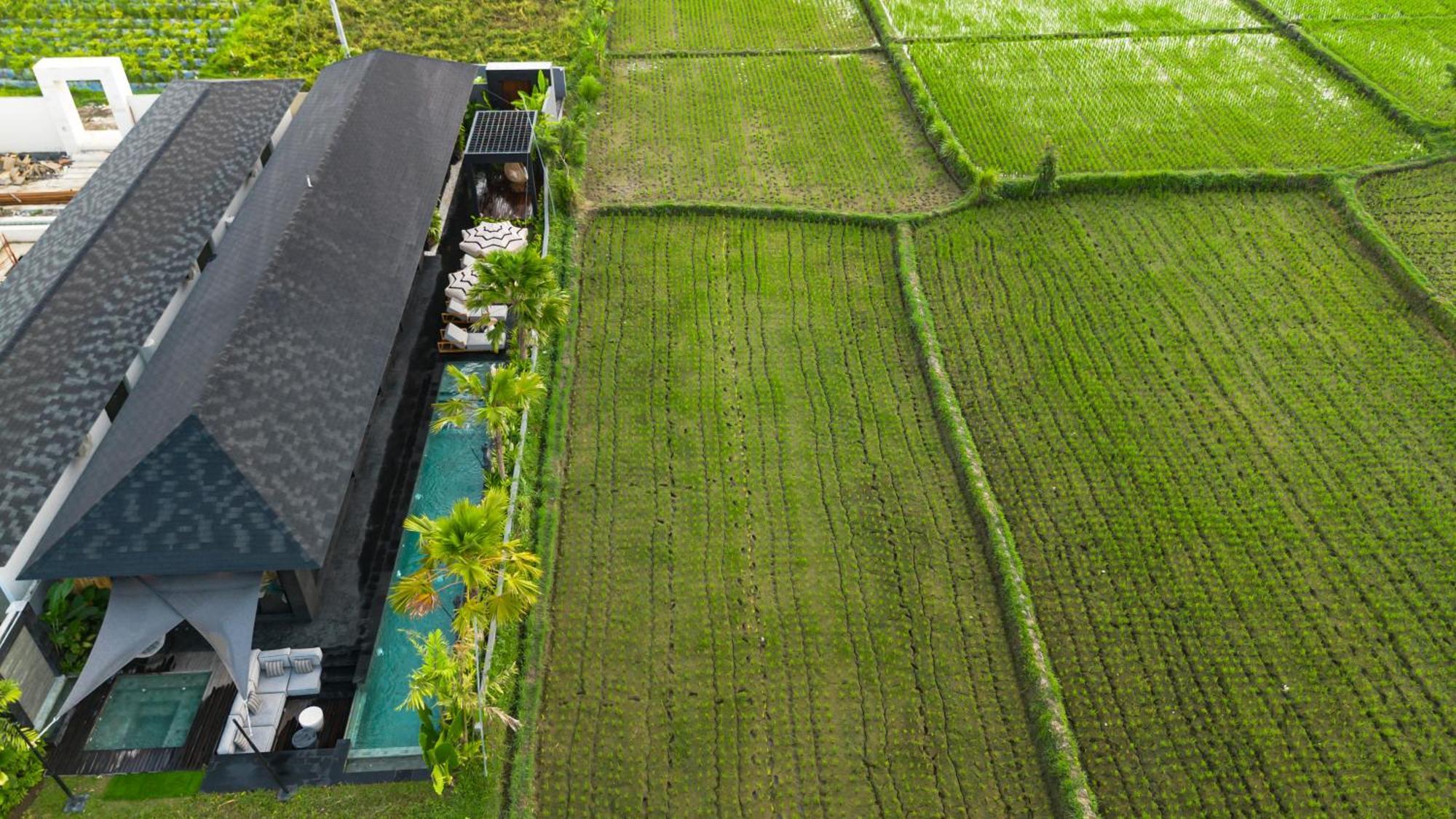 Villa Black Pearl By Balisuperhost Ubud Zewnętrze zdjęcie